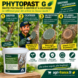 PHYTOPAST G – Mastic...