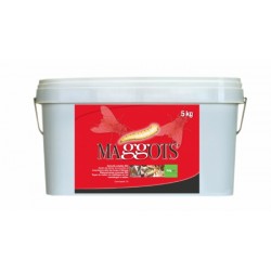 Larvicide Maggots 5 Kg -...