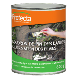 GOUDRON DE PIN des Landes -...