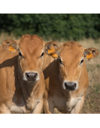 Élevage & soins animaux - matériel professionnel